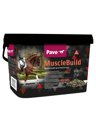 Pavo Muscle Build 3KG